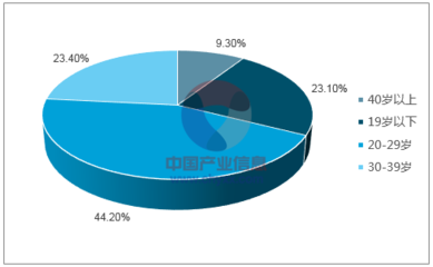 2017-2023年中國網(wǎng)絡(luò)付費行業(yè)市場深度調(diào)查及投資前景分析